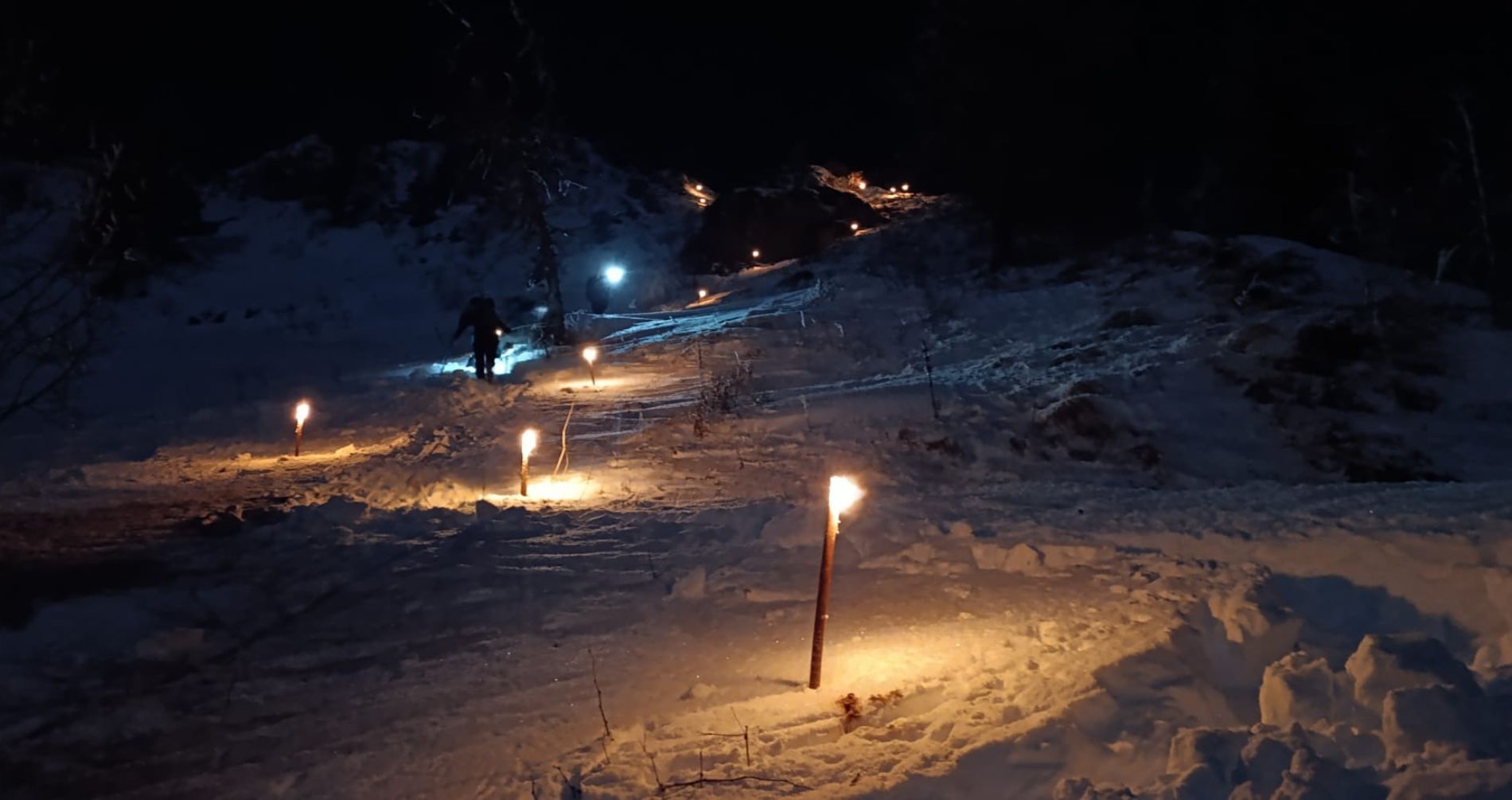 notturna in guglielmo 2026